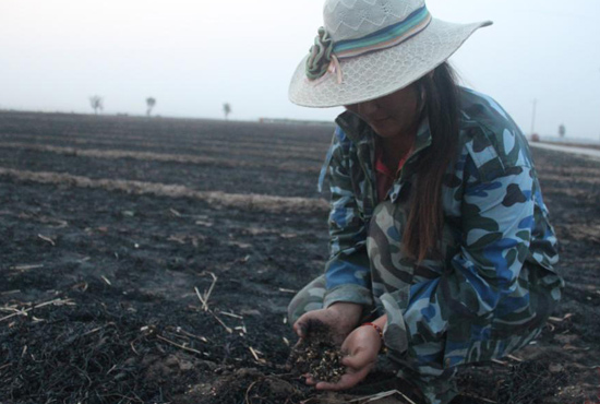 村民們眼巴巴看著豐收的小麥“葬身”火海，心疼不已。
