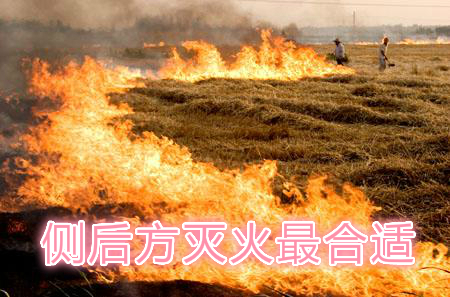 不要在風(fēng)頭上打火：風(fēng)正大，火正旺，最容易傷人；