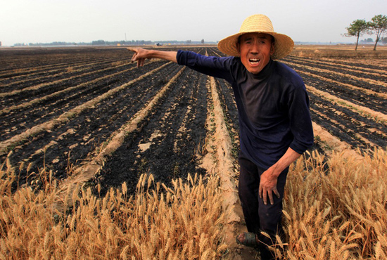 河南省滑縣、內(nèi)黃縣麥田著火，麥壟套種的花生、玉米苗也被烤焦，群眾損失慘重