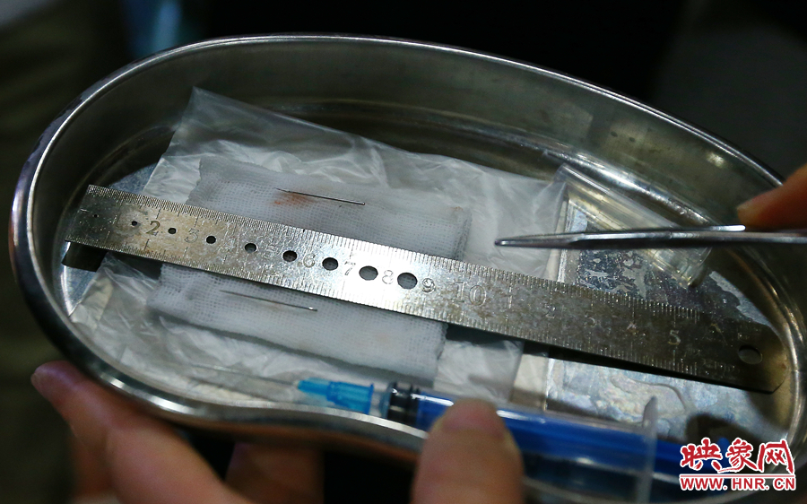 大龍顱內(nèi)取出的鋼針（上）和小龍顱內(nèi)的一樣（下），均為2.5厘米