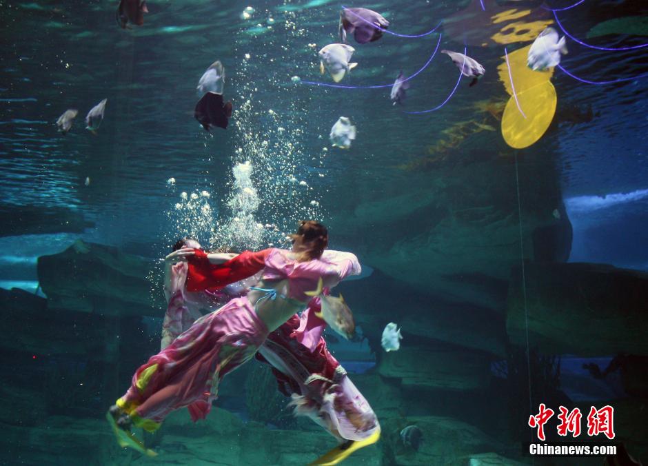 9月7日，在中秋節(jié)到來前一天，山東泉城海洋極地世界為游客帶來“嫦娥水中奔月”表演。