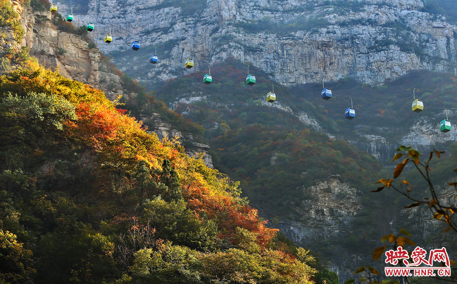 索道下的山坡，陽光灑在色彩繽紛的樹葉上
