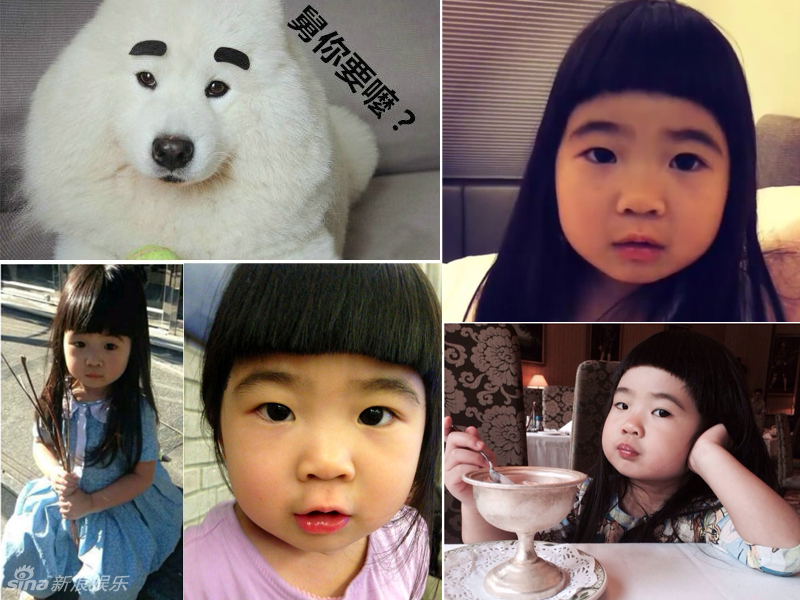 不小心就撞臉了！盤點(diǎn)動(dòng)物界的明星相