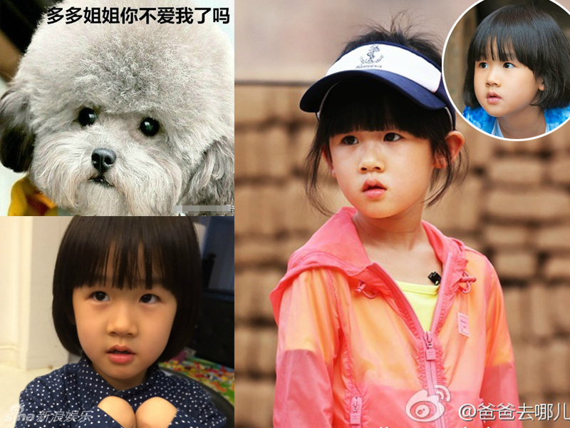 不小心就撞臉了！盤點(diǎn)動(dòng)物界的明星相