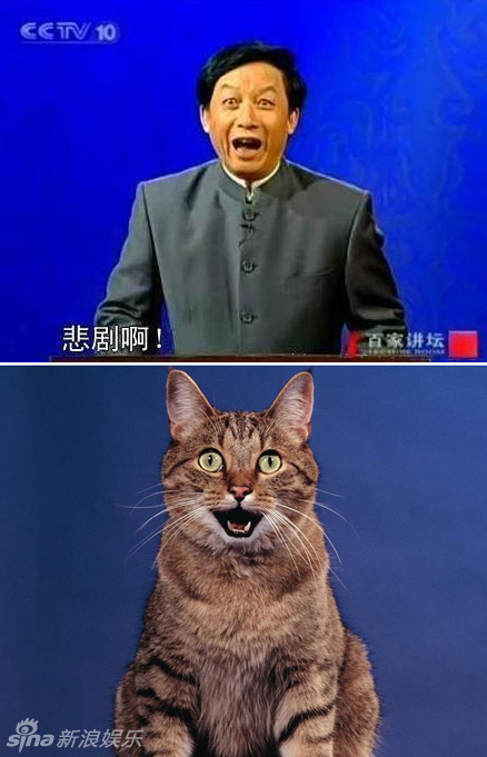 不小心就撞臉了！盤點(diǎn)動(dòng)物界的明星相