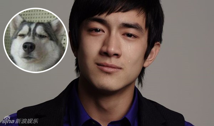 不小心就撞臉了！盤點(diǎn)動(dòng)物界的明星相