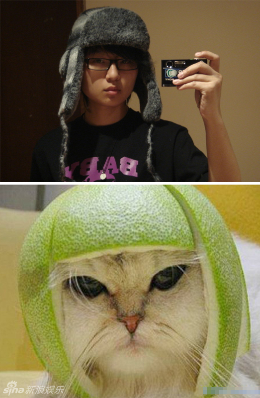 不小心就撞臉了！盤點(diǎn)動(dòng)物界的明星相