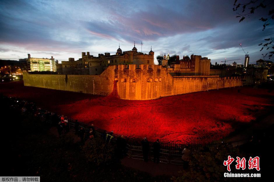 當(dāng)?shù)貢r間2014年11月10日，英國倫敦，倫敦塔周邊“種植”了888246朵陶瓷材質(zhì)的罌粟花，以此紀(jì)