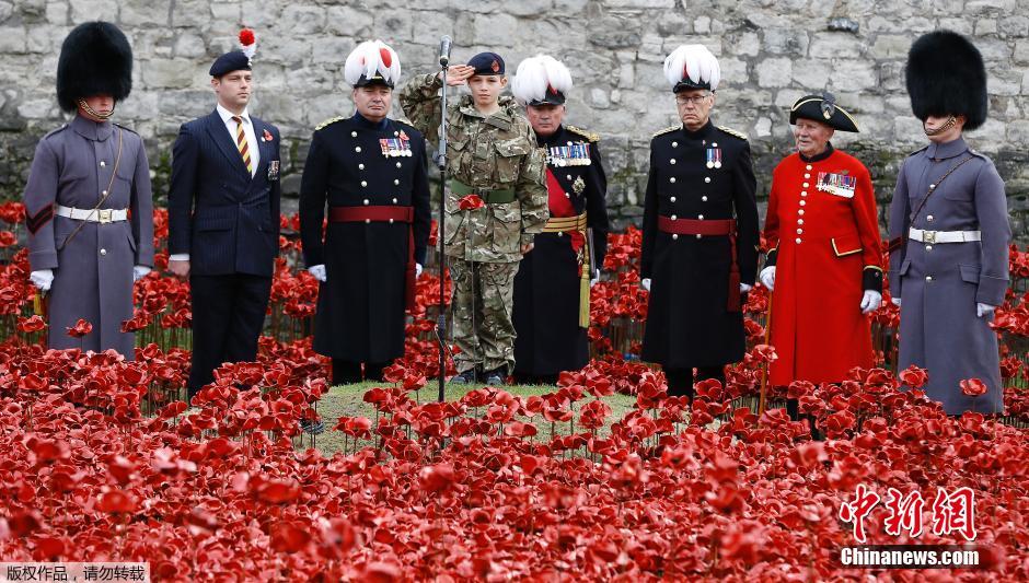 當(dāng)?shù)貢r間2014年11月10日，英國倫敦，倫敦塔周邊“種植”了888246朵陶瓷材質(zhì)的罌粟花，以此紀(jì)