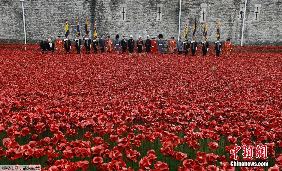 當(dāng)?shù)貢r間2014年11月10日，英國倫敦，倫敦塔周邊“種植”了888246朵陶瓷材質(zhì)的罌粟花，以此紀(jì)