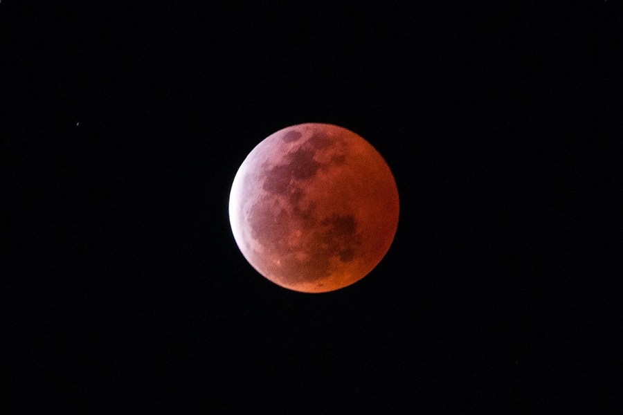 4月4日，福州上空出現(xiàn)紅月亮。楊婀娜/CFP