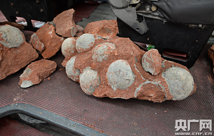 其中完整的19枚，都是直徑約13厘米的“大個子”。