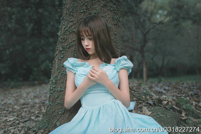 民航大學(xué)最美?；ㄋ秸掌毓? width=