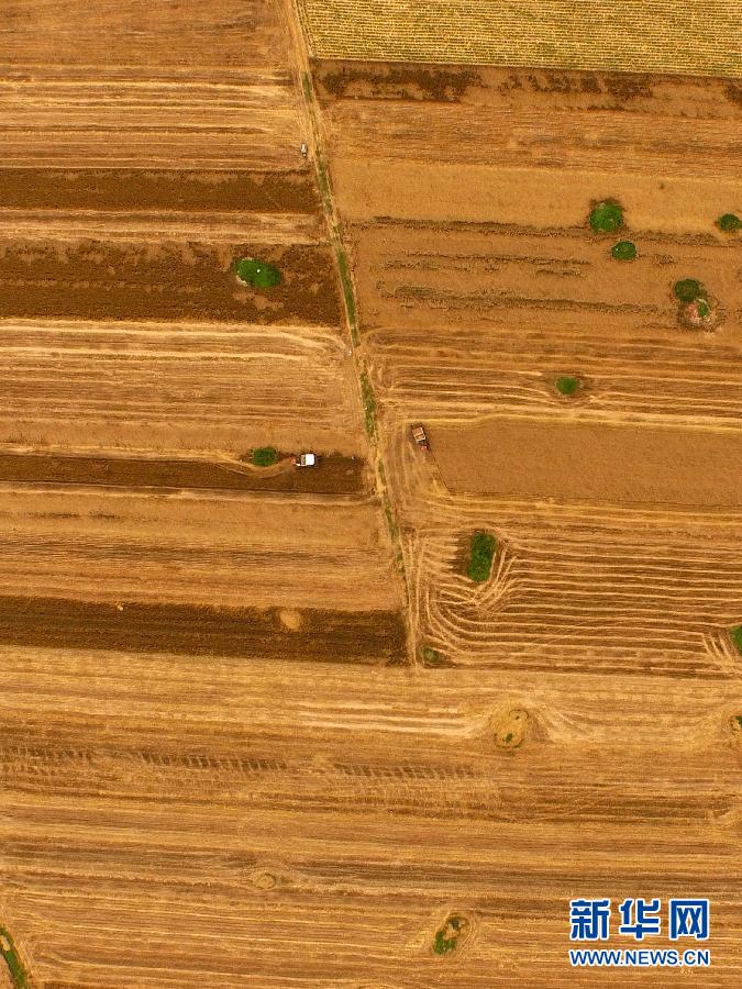 這是5月28日在河南省南陽市唐河縣甘河灣村航拍的麥?zhǔn)宅F(xiàn)場。