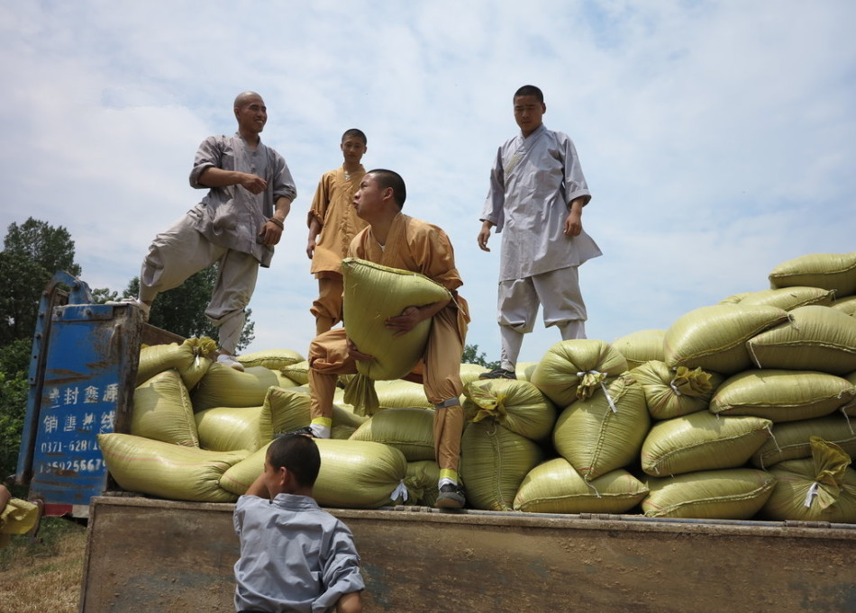 武僧將打包后的糧食集中至運(yùn)輸車輛上。