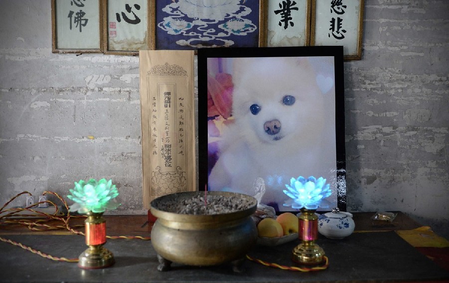 寵物狗的遺像被擺放在寺廟中。