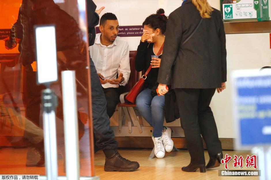 載66人埃航失聯(lián)客機(jī)墜毀 同線航班當(dāng)晚照常起飛 載66人埃航失聯(lián)客機(jī)墜毀 同線航班當(dāng)晚照常起飛