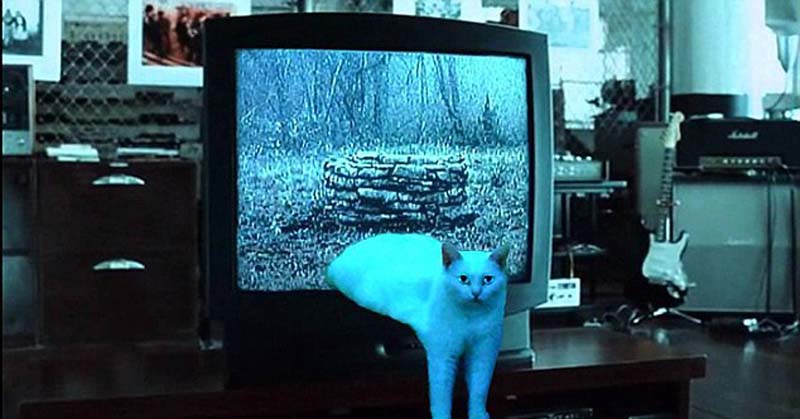 喵星人奇葩坐姿遭惡搞 網(wǎng)友腦洞大開 喵星人奇葩坐姿遭惡搞 網(wǎng)友腦洞大開