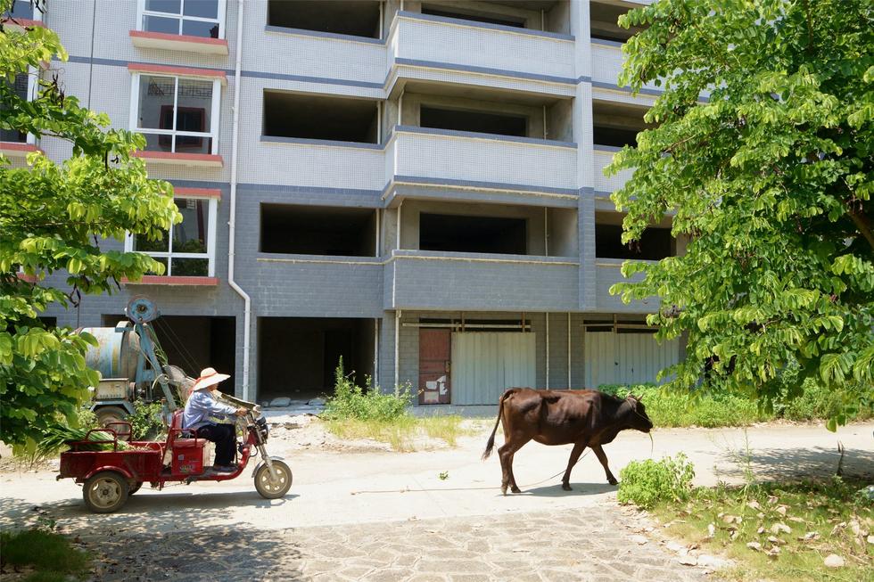 2016年7月26日，村民在廣西來賓市忻城縣隆達(dá)山水福城荒廢別墅間放牛。