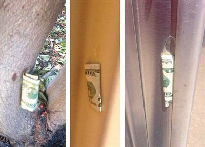 “隱藏的鈔票”會被神秘人藏在公園、廁所等“奇怪的地方”。