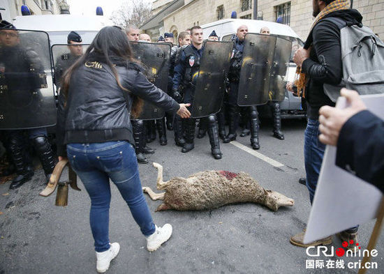 　　當(dāng)?shù)貢r(shí)間2014年11月27日，法國(guó)巴黎，法國(guó)農(nóng)民帶綿羊在埃菲爾鐵塔附近抗議，要求環(huán)保部門采取有效措施解決狼群襲擊羊群?jiǎn)栴}?！D片來(lái)源：TRICK KOVARIK/CFP