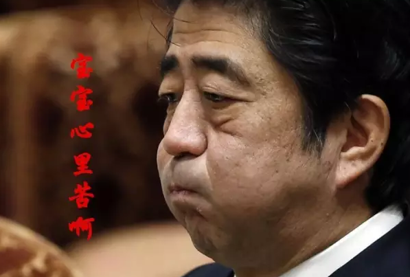 這種看安倍“熱鬧”的事兒，環(huán)環(huán)絕不私藏，一定雨露均沾!