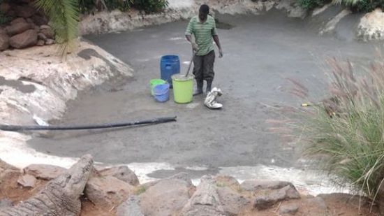 穆克的養(yǎng)殖場，鱷視眈眈下的工作人員。