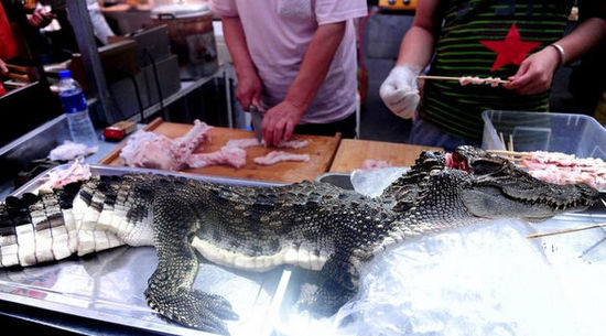 沈陽(yáng)現(xiàn)“烤鱷魚肉”20元一串現(xiàn)烤現(xiàn)賣(圖)