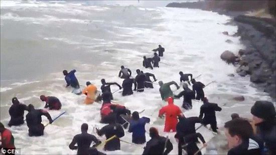 一場暴雨后，俄羅斯加里寧格勒Pionersky鎮(zhèn)，數十人潛入海水中搜尋琥珀。