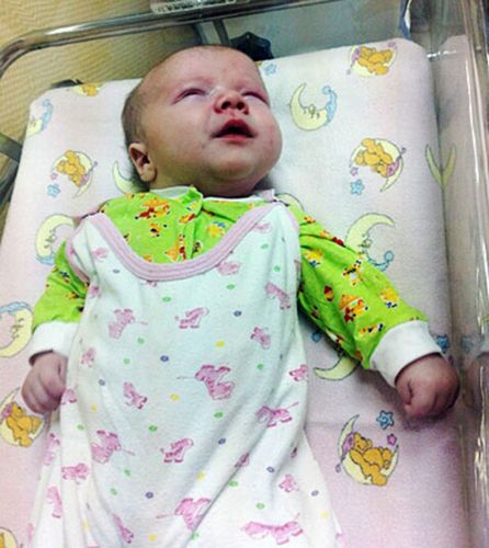 居民認為，如果沒有這只貓的照料，寶寶可能沒有機會活下來。