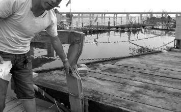 鼻孔里凝著血痂、全身多處擦傷的周先生仍有些驚魂未定。