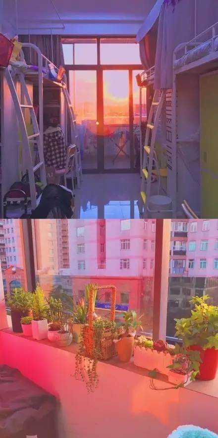 這個(gè)學(xué)校的男生宿舍火了！女同學(xué)都喊著要嫁