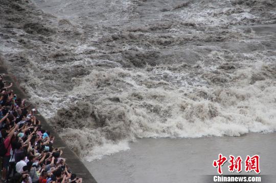 近4年最大八月十八錢江潮如約而至13.8萬游客爭睹 近4年最大八月十八錢江潮如約而至13.8萬游客爭睹