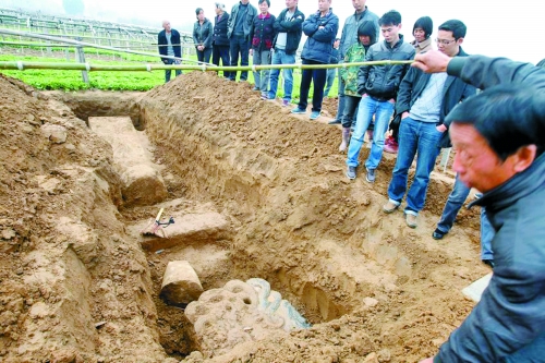 碑帽、赑屃、碑座、碑身依次排開