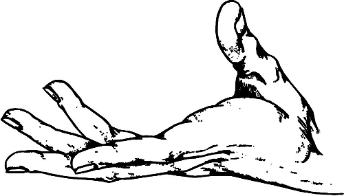 　時(shí)間：拿到通知書(shū)，未報(bào)到就可申請(qǐng)