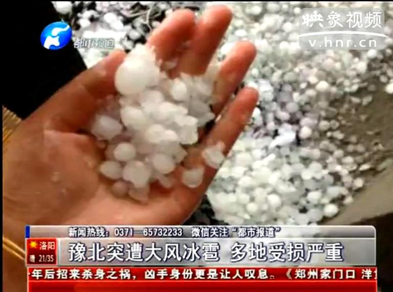 豫北冰雹 農(nóng)民受損嚴重