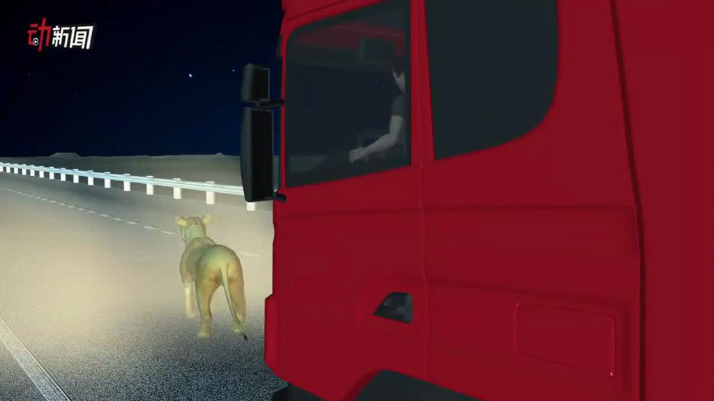 3D還原猛獅逼近高速服務區(qū) 特警20多槍擊斃