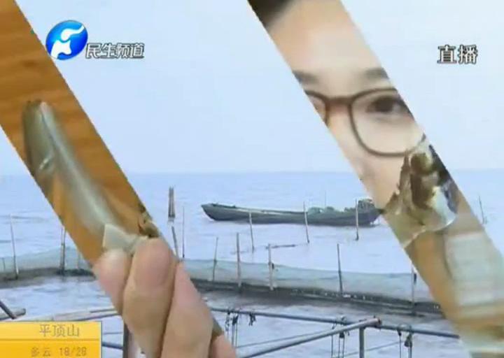 陽(yáng)澄湖大閘蟹？假的！