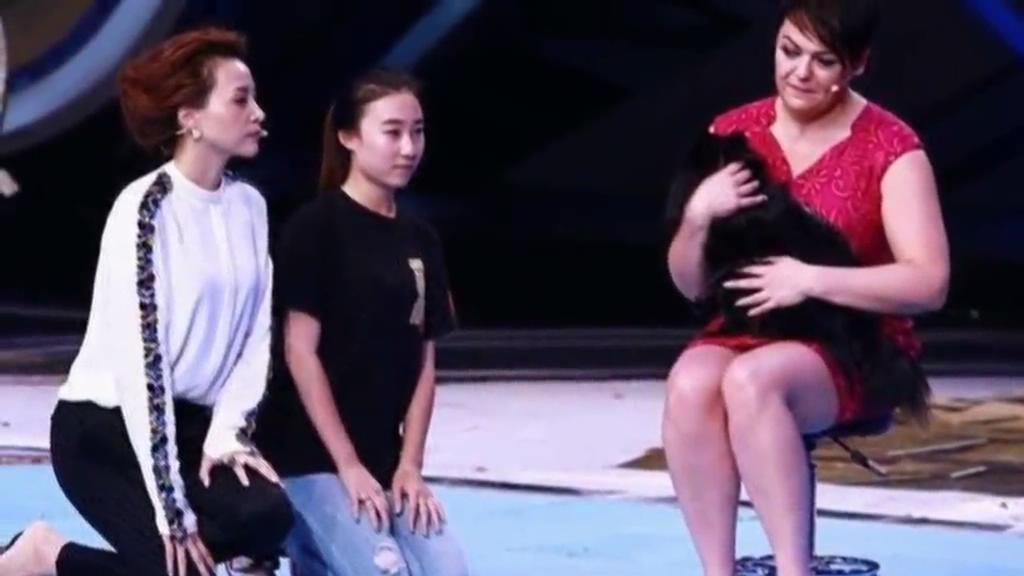 又當(dāng)托？ 董卿節(jié)目現(xiàn)場(chǎng)當(dāng)眾對(duì)狗下跪稱被催眠