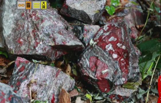 驚！神農(nóng)架無人區(qū)現(xiàn)神秘玉石