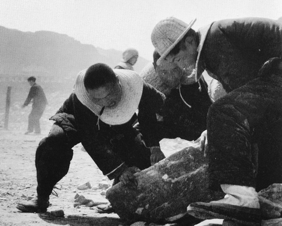 抬石頭，多少人手上都磨出了老繭