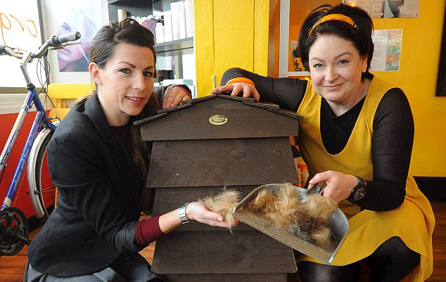 英發(fā)型師喂蠕蟲(chóng)吃頭發(fā)