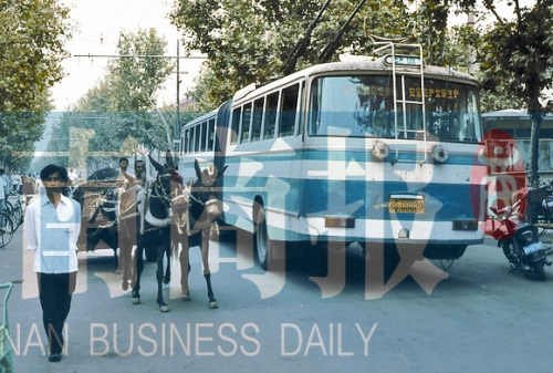 當(dāng)年的伏牛路，驢車和公交車并行